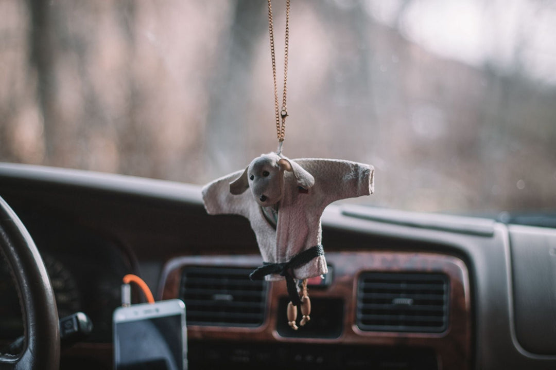 The Most Overlooked Car Accessories That Improve Daily Driving Comfort