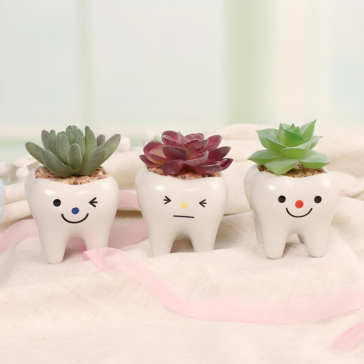 Charming Ceramic Tooth-Shaped Planter for Succulents and Cacti