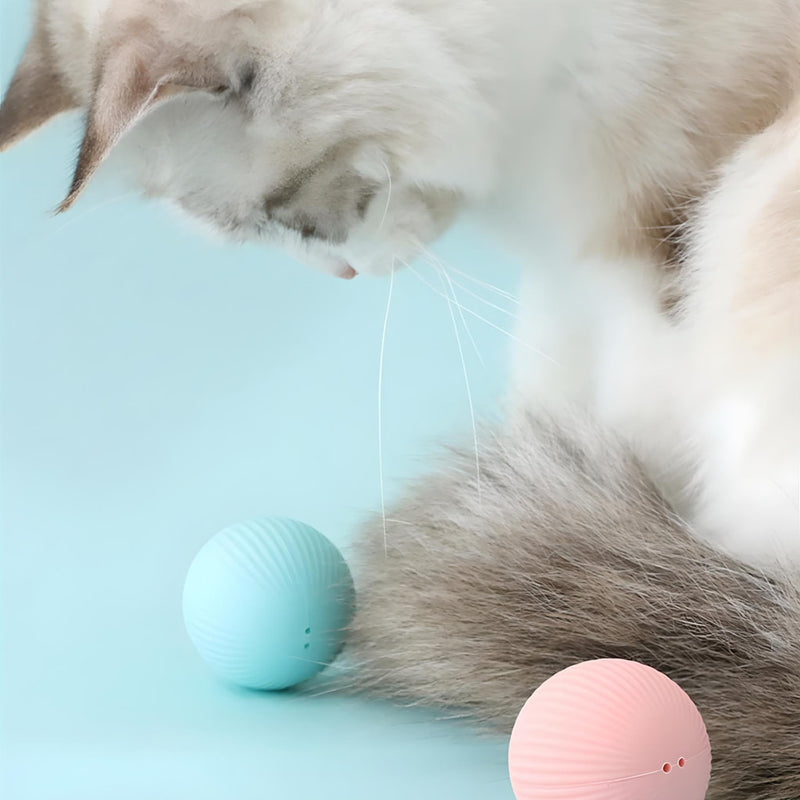 Interactive electric cat ball, view 5 - MRSLM