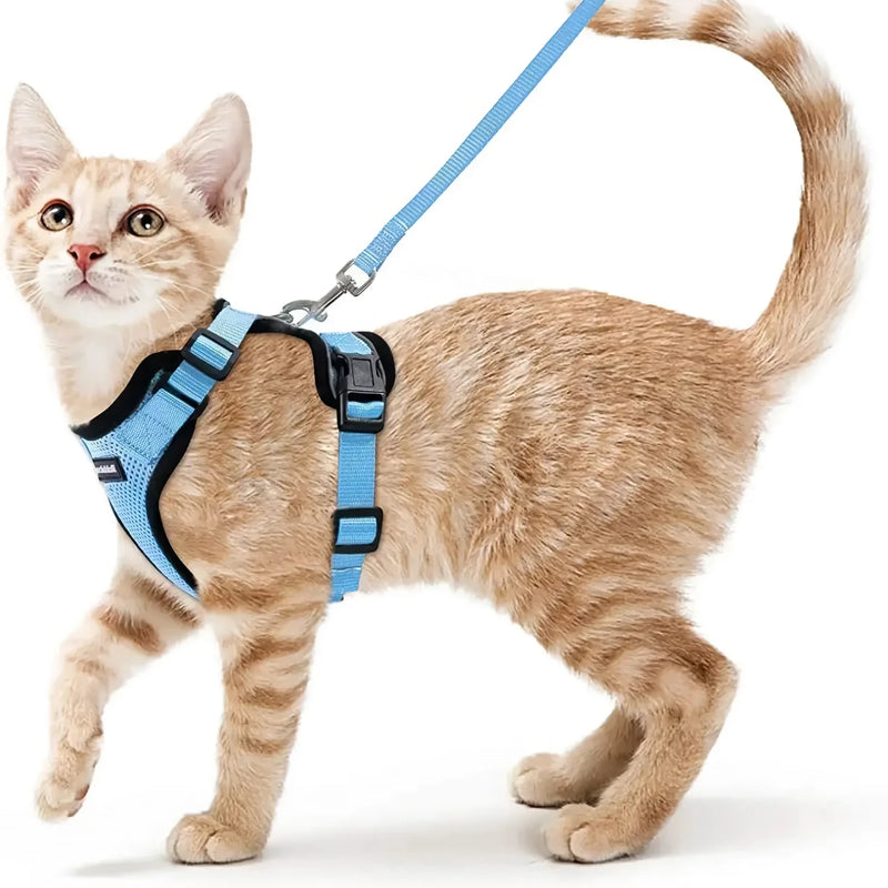 cat harness and leash, view 7 - MRSLM