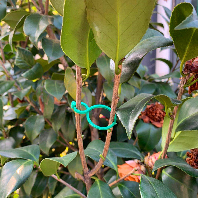 garden vine strapping clips, view 3 - MRSLM