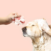 pet shampoo massager brush, view 7 - MRSLM