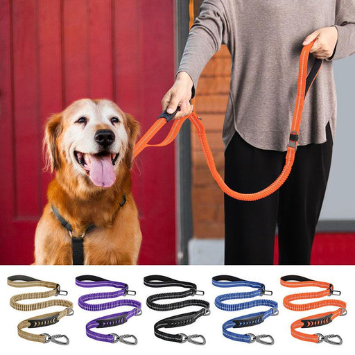 retractable reflective dog leash - MRSLM