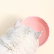 small ceramic cat bowl, view 11 - MRSLM