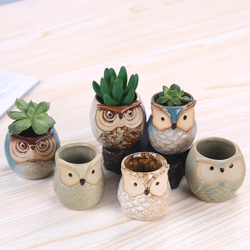 Mini owl ceramic planter - MRSLM
