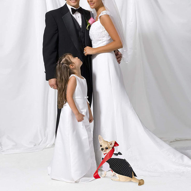 dog tuxedo with bow-tie, view 7 - MRSLM