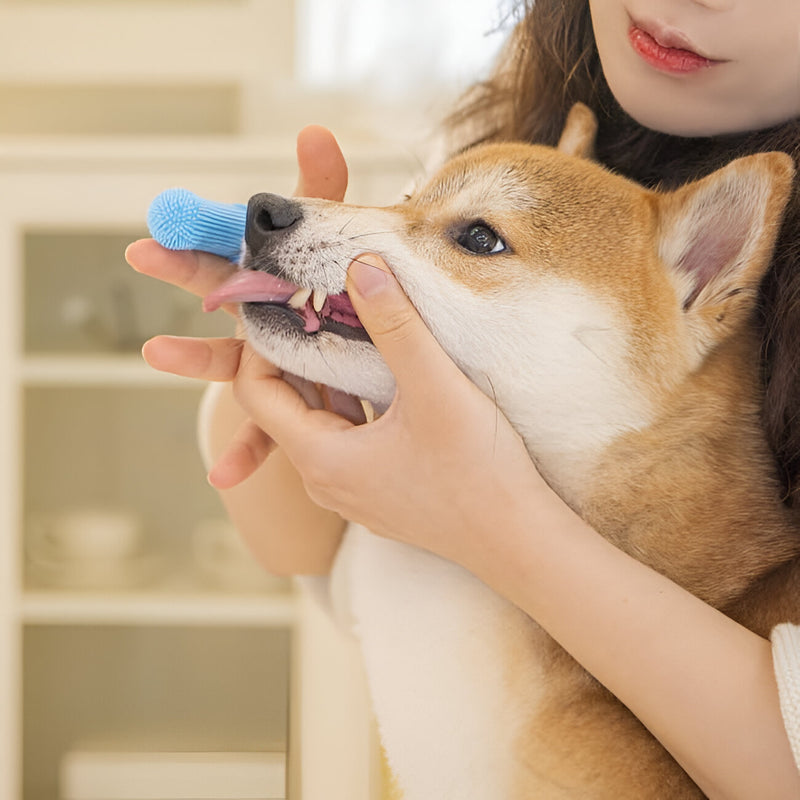 pet finger toothbrush, view 4 - MRSLM