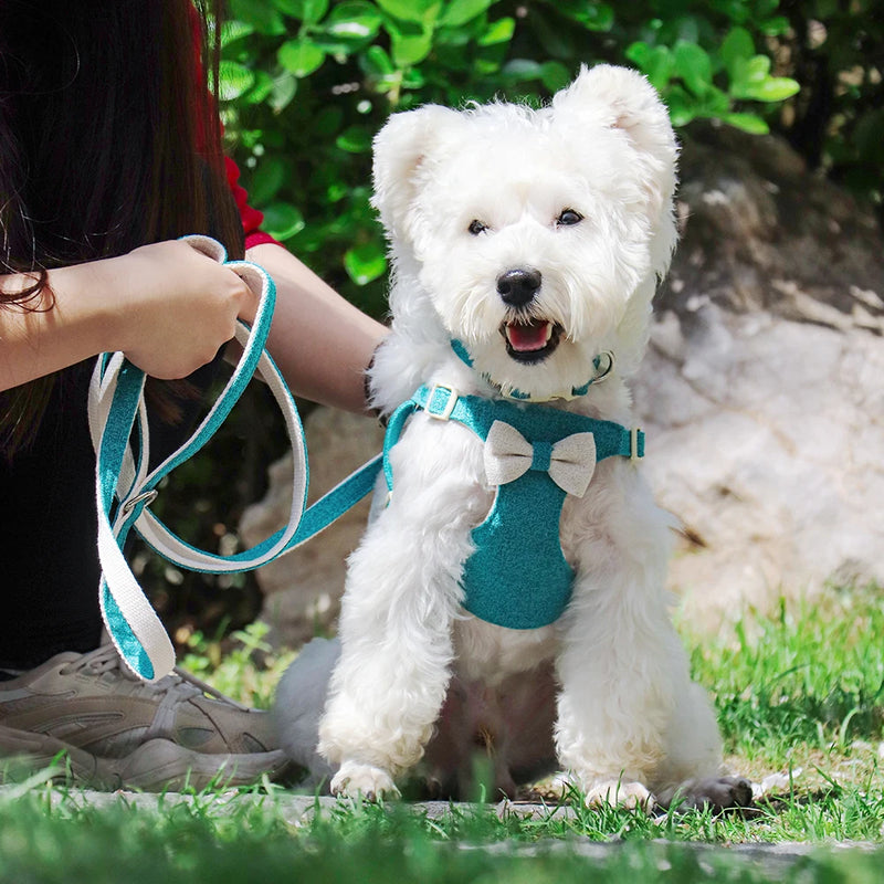 quick release dog collar harness and leash set, view 6 - MRSLM