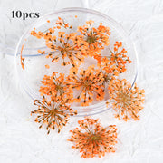 3d dried flower nail art decorations, view 7 - MRSLM