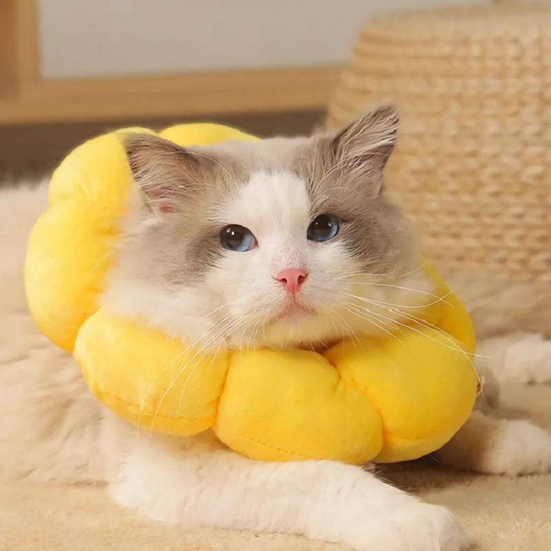 yellow sunflower cat collar - MRSLM