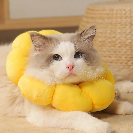 yellow sunflower cat collar - MRSLM