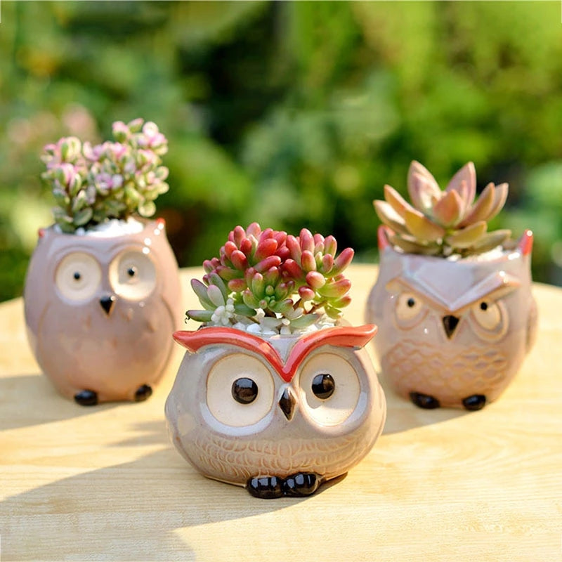 Cute Owl Ceramic Flower Pot Planter