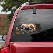 3d effect cracked alien and pet car decal, view 3 - MRSLM