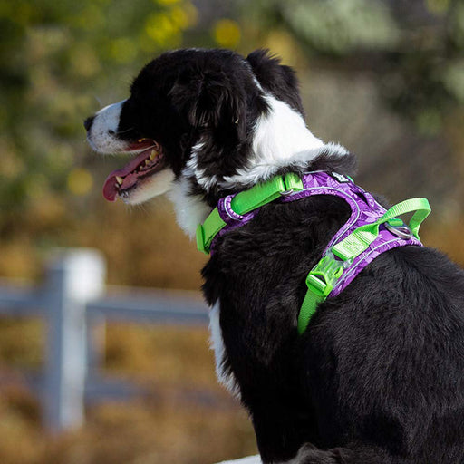 reflective camouflage dog harness - MRSLM