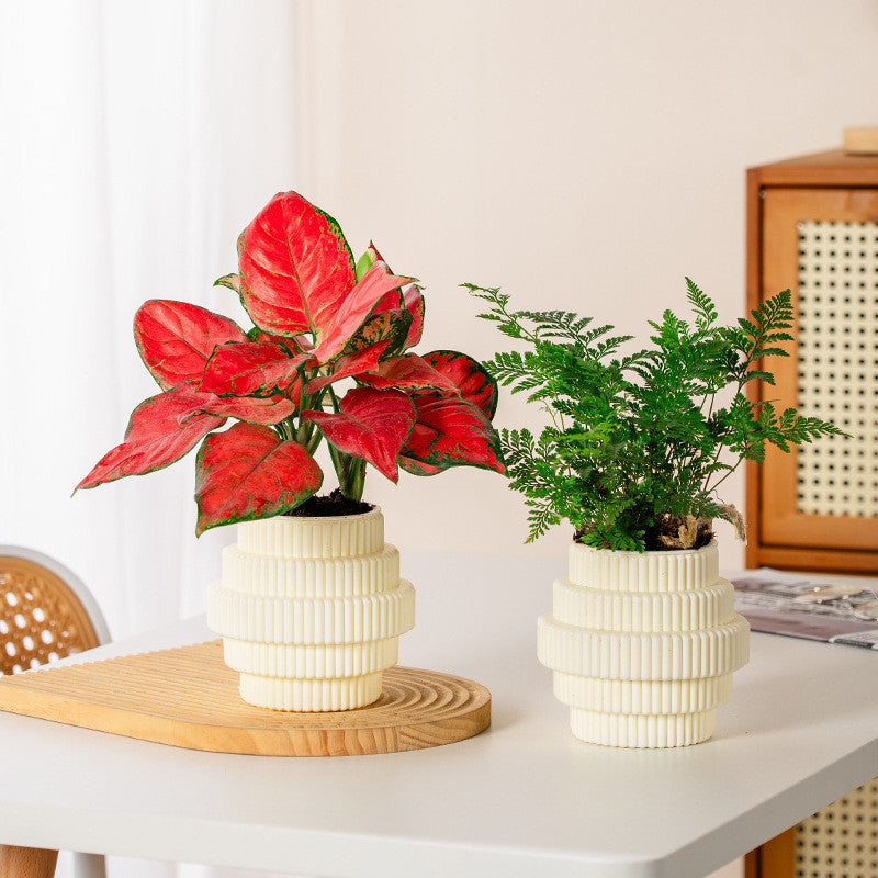 Self-watering hydroponic plant pot, view 3 - MRSLM