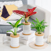 mini hydroponic flower pot - MRSLM