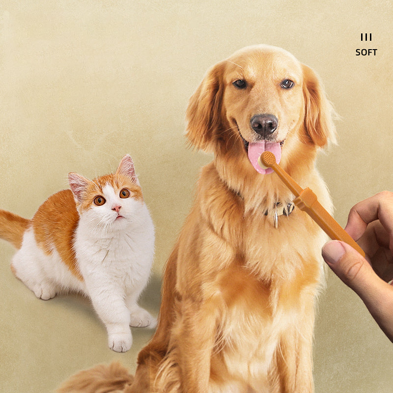 Pet silicone toothbrush and toothpaste set, view 5 - MRSLM