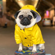 waterproof raincoat for medium and large dogs, view 5 - MRSLM