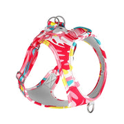 personalized LED light harness, view 5 - MRSLM