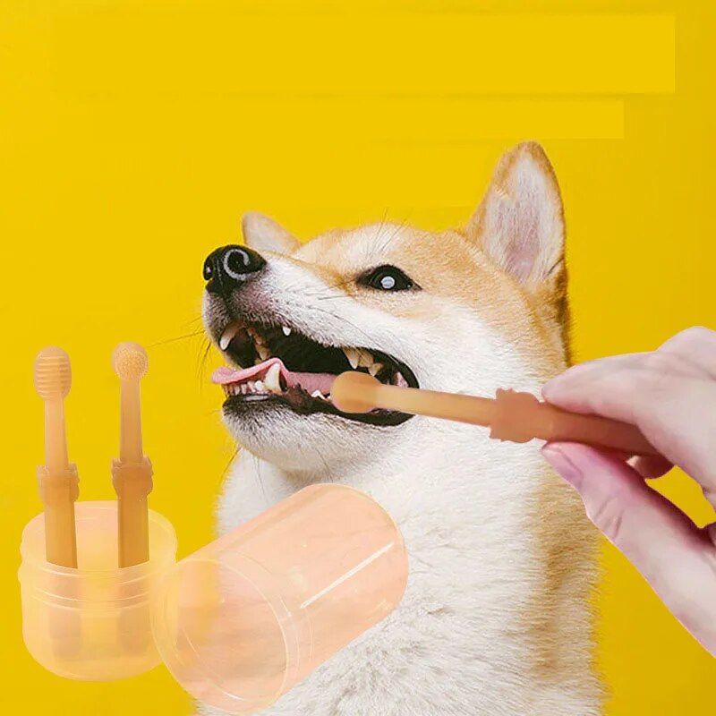 silicone pet toothbrush kit, view 3 - MRSLM