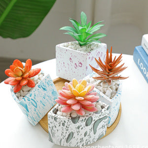ceramic succulent pot set - MRSLM
