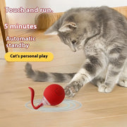 self-rolling cat ball toy, view 5 - MRSLM