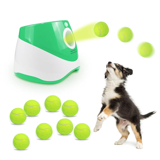 automatic dog tennis launcher - MRSLM
