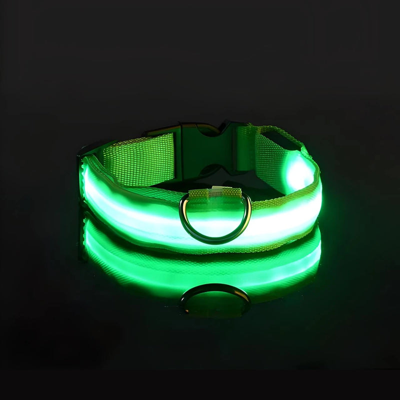 LED dog collar, view 2 - MRSLM