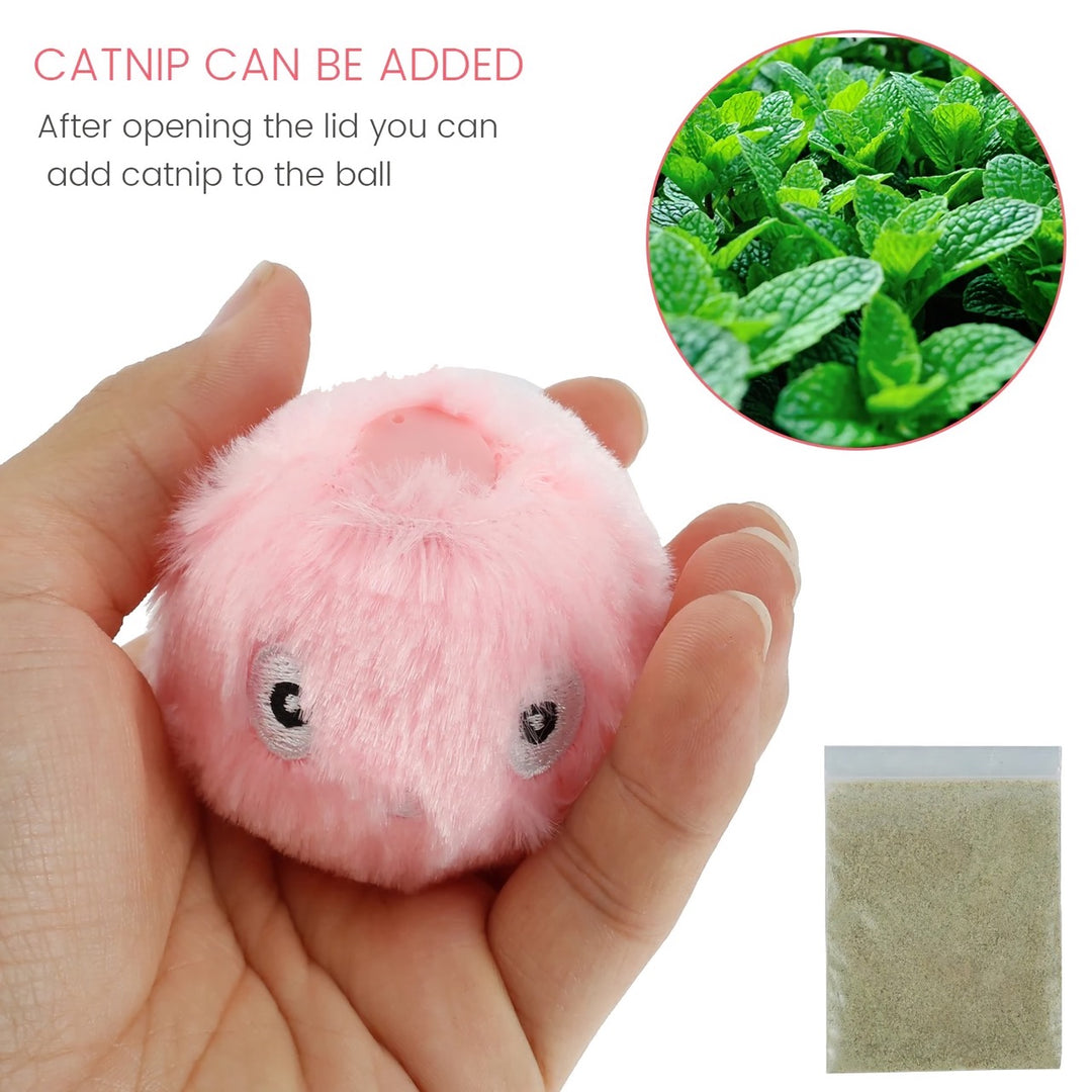 Catnip Ball Toy