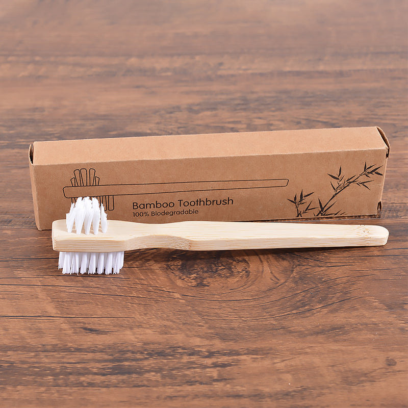 denture cleaning brush, view 2 - MRSLM