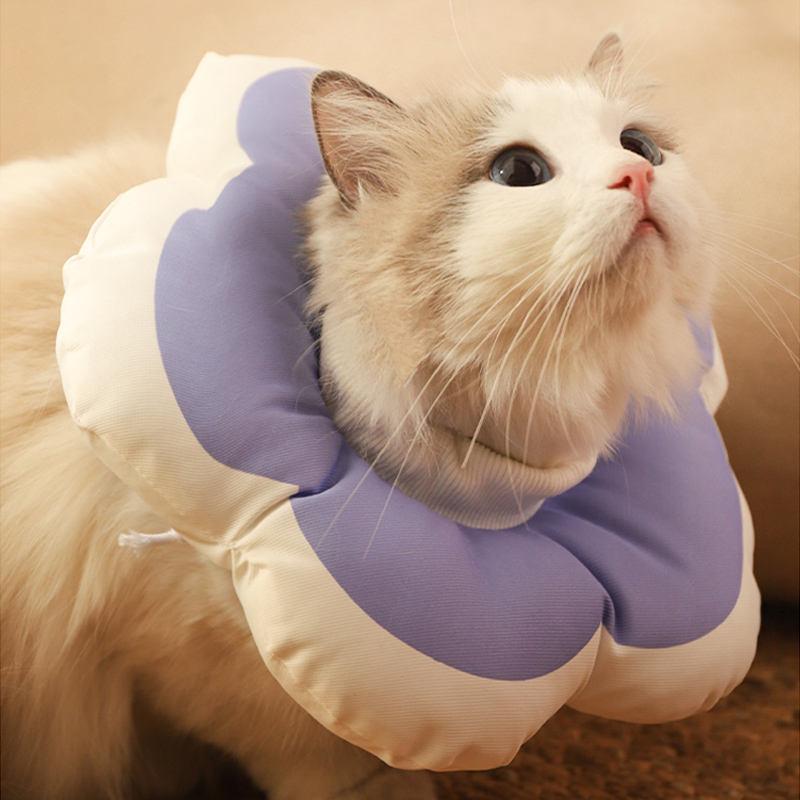 cat flower collar - MRSLM
