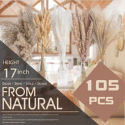 dried pampas grass bouquet, view 3 - MRSLM