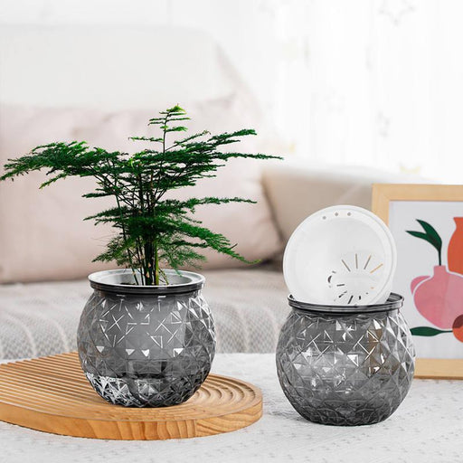 self-watering succulent pot with fish tank - MRSLM
