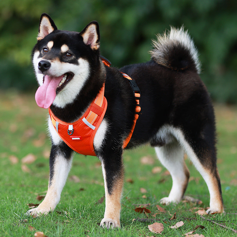 adjustable reflective dog harness, view 7 - MRSLM
