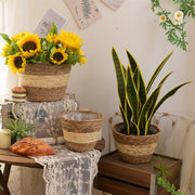 Straw woven plant basket set, view 7 - MRSLM