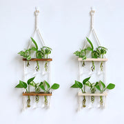 wooden hydroponic wall vase, view 5 - MRSLM
