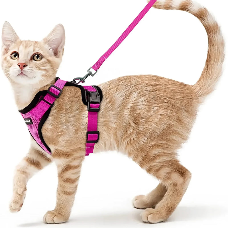 cat harness and leash, view 3 - MRSLM