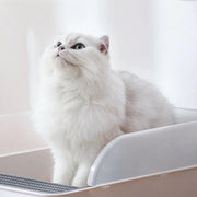smart cat odor purifier - MRSLM