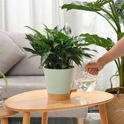 5-pack self-watering planters, view 3 - MRSLM