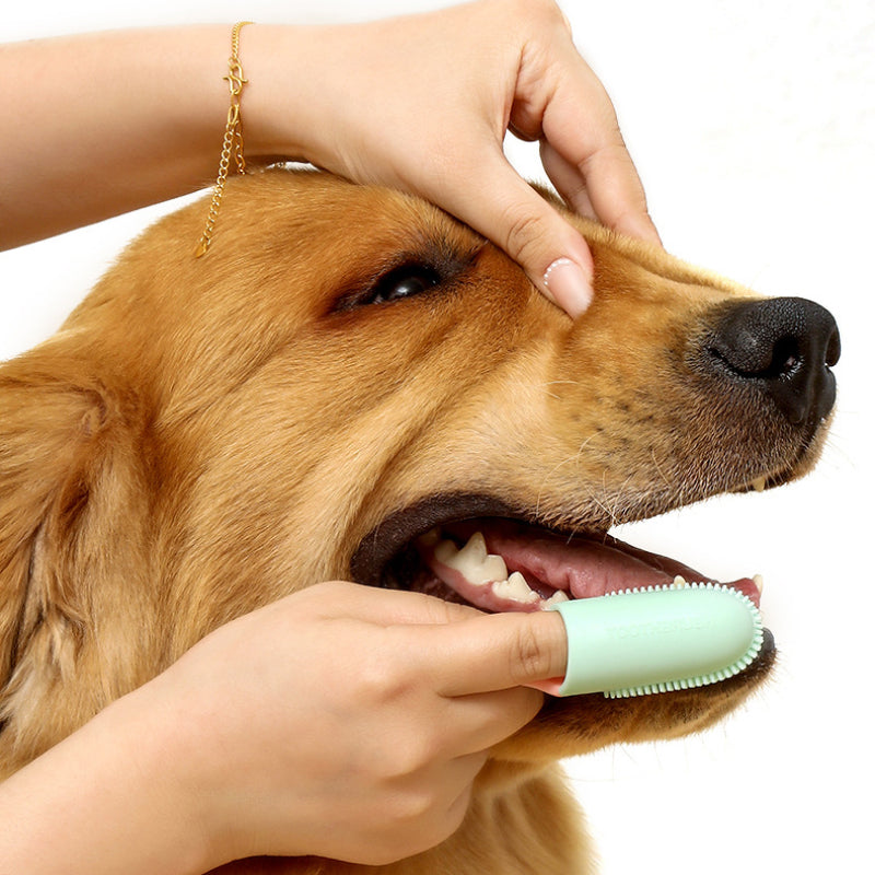 pet finger toothbrush - MRSLM
