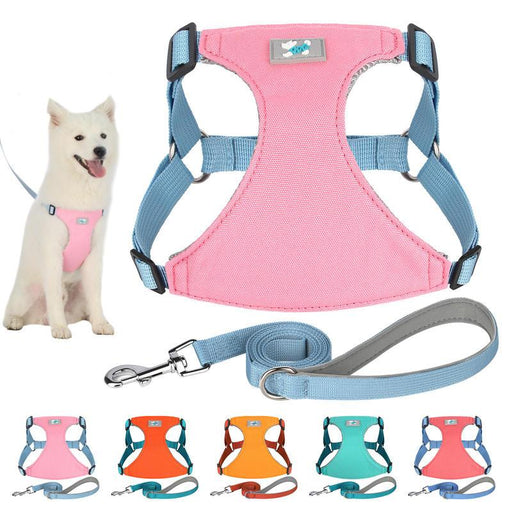 adjustable nylon dog harness and leash set - MRSLM
