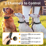 electric dog training collar, view 7 - MRSLM