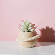 Mini planet shape ceramic succulent flower pot, view 9 - MRSLM