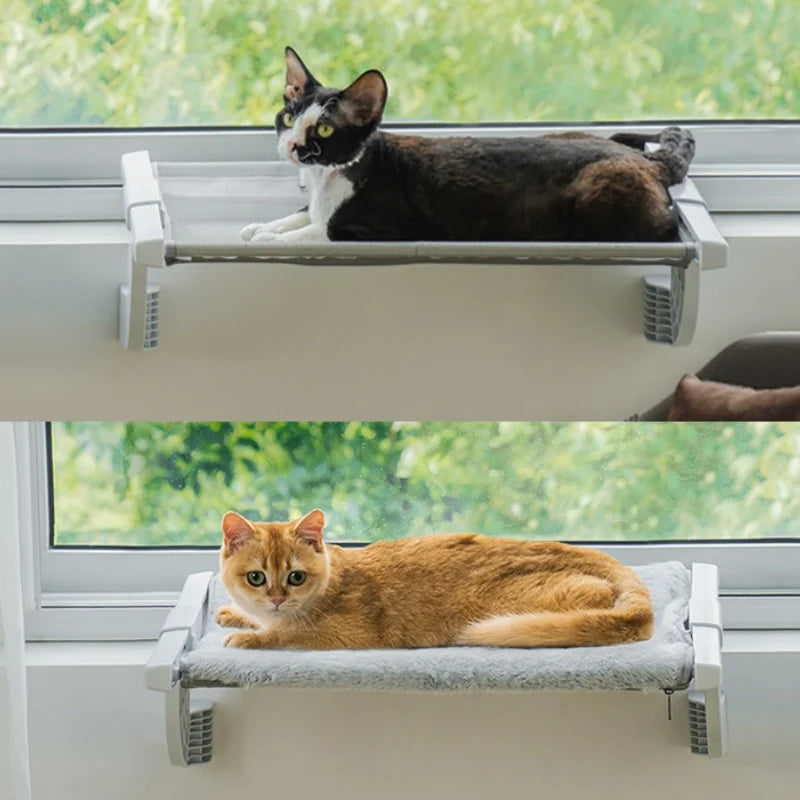 cat window bed - MRSLM