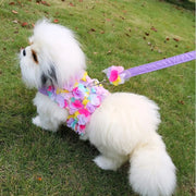 floral dog harness and leash set, view 6 - MRSLM