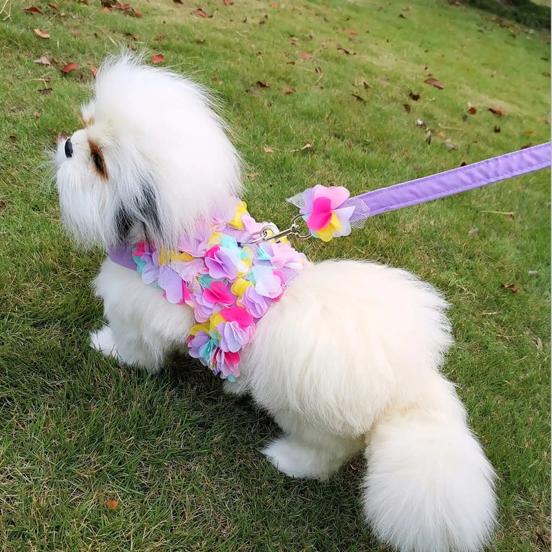 floral dog harness and leash set, view 6 - MRSLM