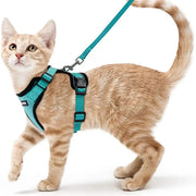 cat harness and leash, view 8 - MRSLM