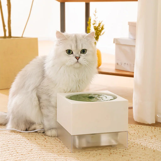 cat water fountain - MRSLM