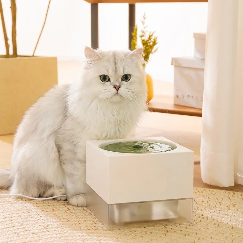 cat water fountain, view 3 - MRSLM