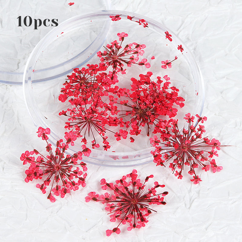 3d dried flower nail art decorations, view 11 - MRSLM